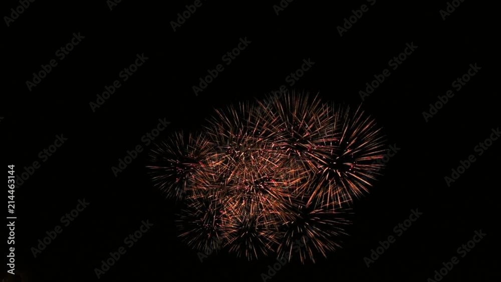With sound. Colourful fireworks in honour of a holiday With sound. Colourful fireworks in honour of a holiday