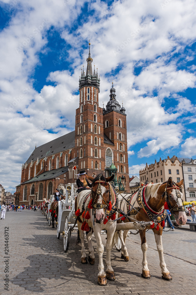 Fototapeta Kraków – bryczki konne przed Kościołem Mariackim