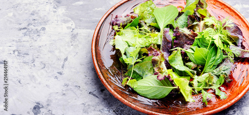 Green vegan salad