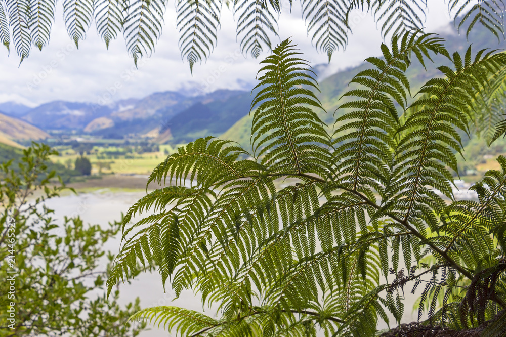 Fototapeta premium Cullen Point Lookout. View to Havelock, a coastal village