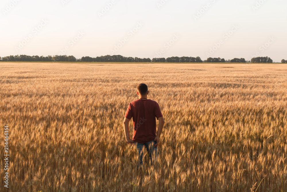 man watch sunset in field of wheat man watch sunset in field of wheat