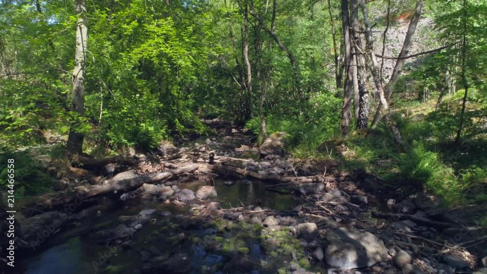 Flying backwards over water stream in deciduous forest. Scenic drone shot flying over river in the woods. Sunlight peeking through the trees. Beautiful nature scenery background in 4K resolution Flying backwards over water stream in deciduous forest. Scenic drone shot flying over river in the woods. Sunlight peeking through the trees. Beautiful nature scenery background in 4K resolution