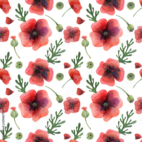 Watercolor seamless pattern Wild Poppies