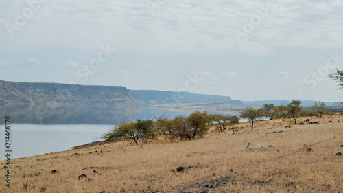 Lake Magadi against a Mountain Background, Rift Valley, Kenya © martin