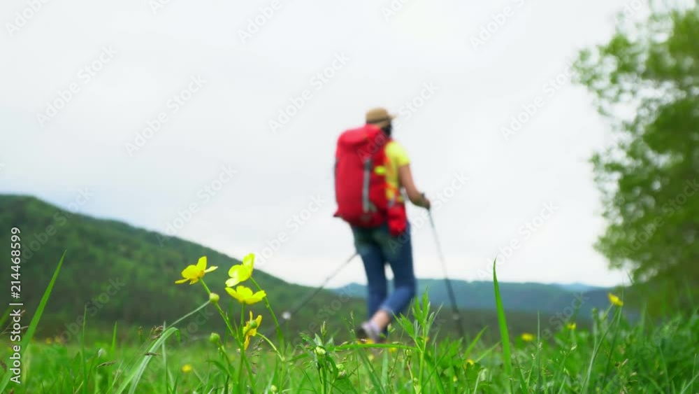 The woman the traveler with a red backpack goes up on the mountain. The woman the traveler with a red backpack goes up on the mountain.