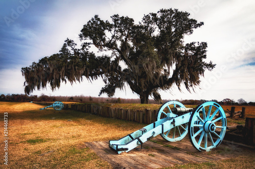 Cannon and Oak Tree with Moss