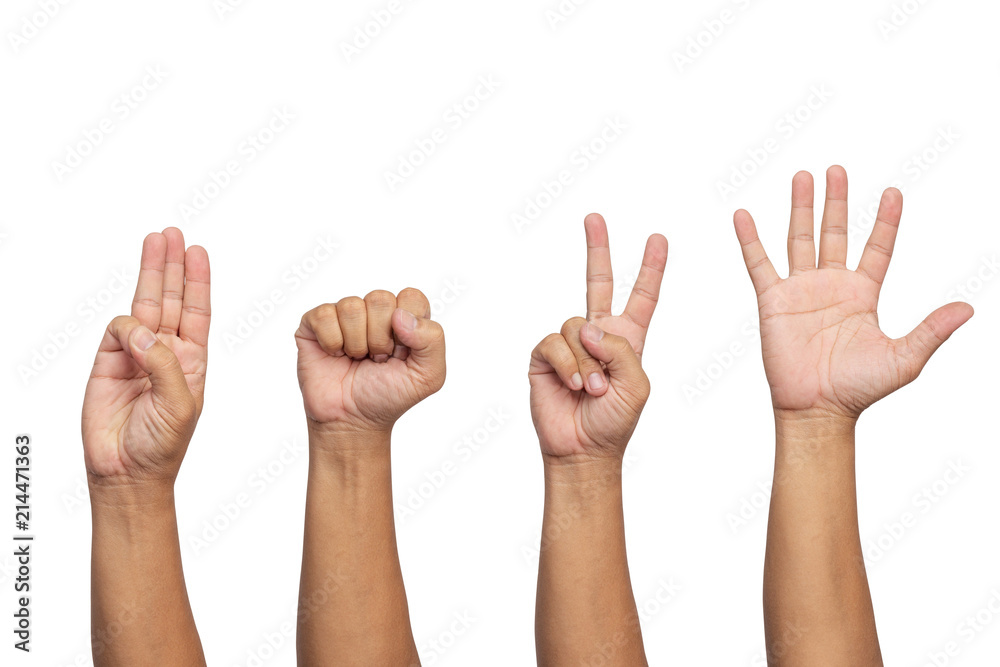raised hand and arm isolated on white background raised hand and arm isolated on white background
