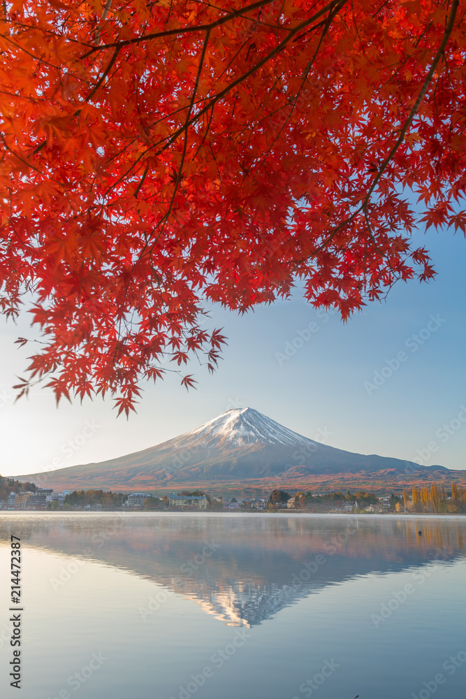 Fototapeta premium Colorful Autumn Season and Mountain Fuji with morning fog and red leaves at lake Kawaguchiko is one of the best places in Japan