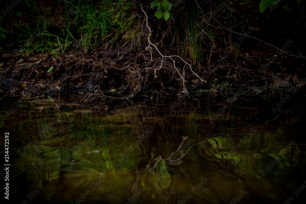 Reflections on a Lake