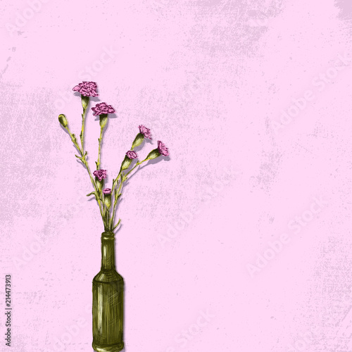 Pink carnations on the pink background