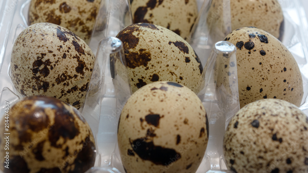 Obraz premium close-up. Quail eggs in plastic packaging