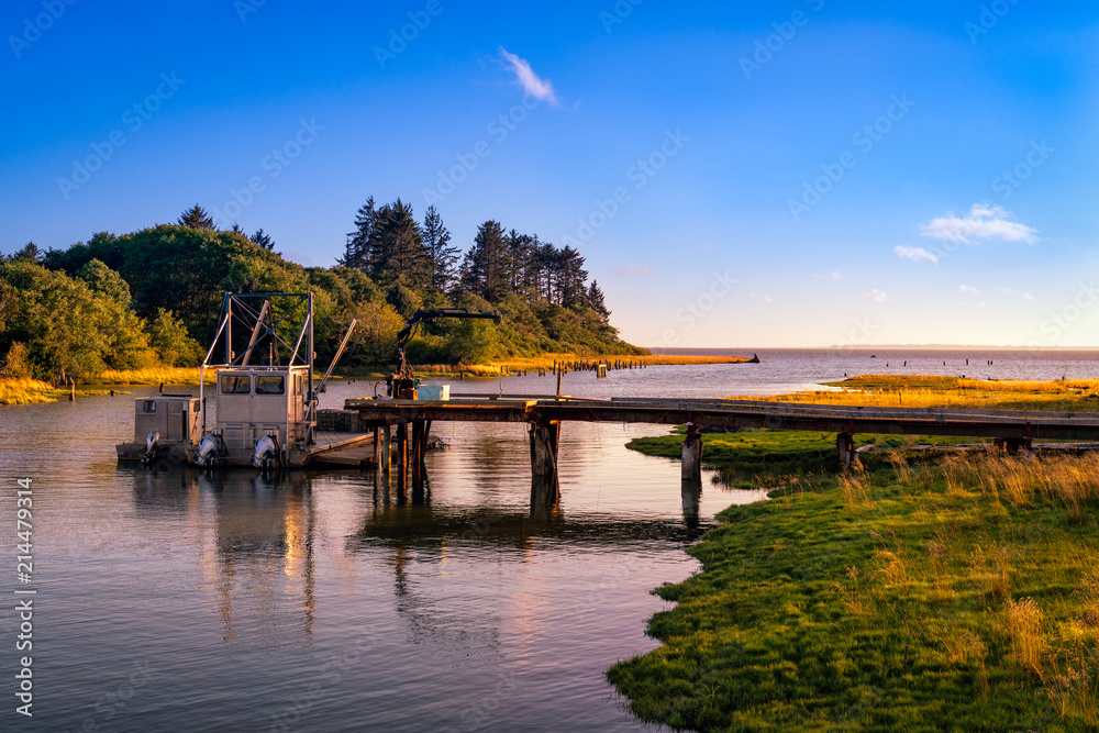 Fototapeta premium Oyster Harvest