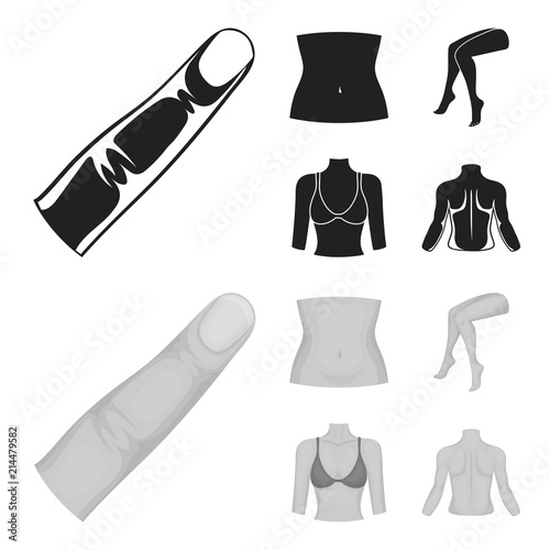 Finger, female feet, female, bust. Part of the body set collection icons in black,monochrom style vector symbol stock illustration web.