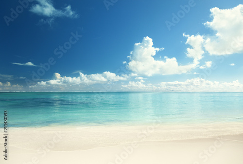 tropical beach  Dominican republic