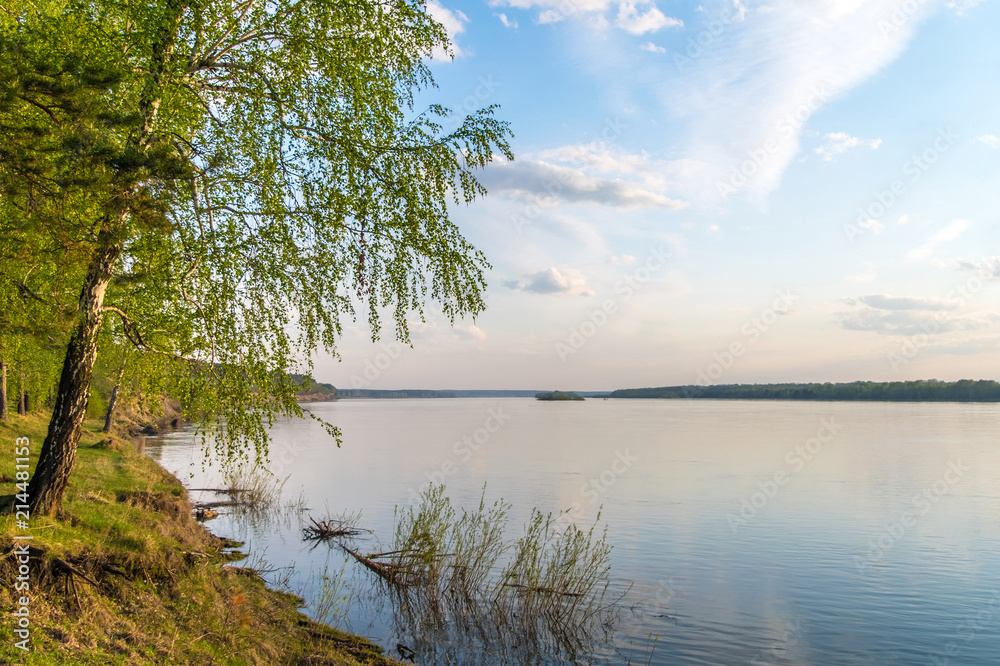 Obraz premium Forest coast of river