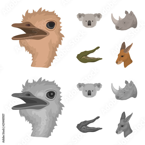 Ostrich, koala, rhinoceros, crocodile, realistic animals set collection icons in cartoon,monochrome style vector symbol stock illustration web. photo