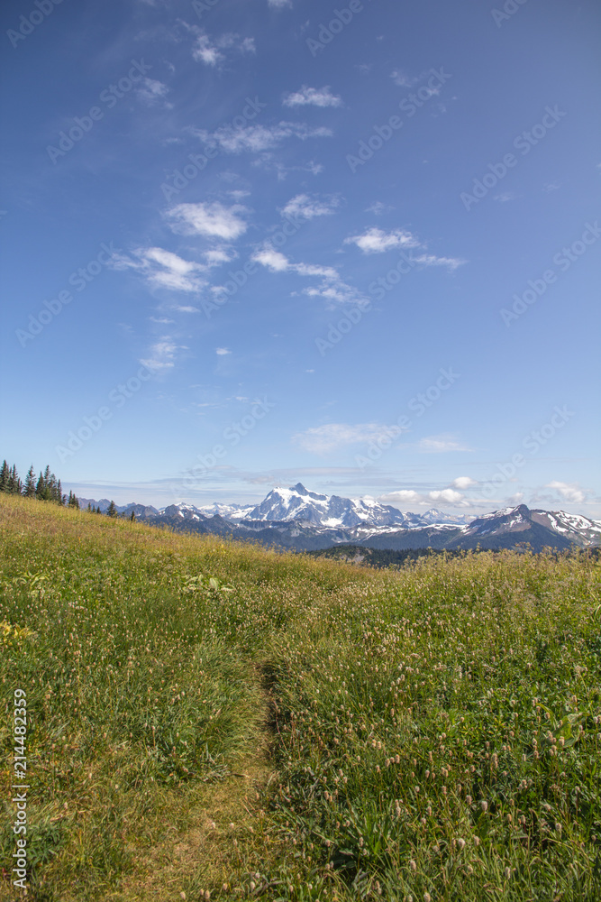 Alpine meadows, Mt. Shuksan and blue skies near Glacier, WA, USA.