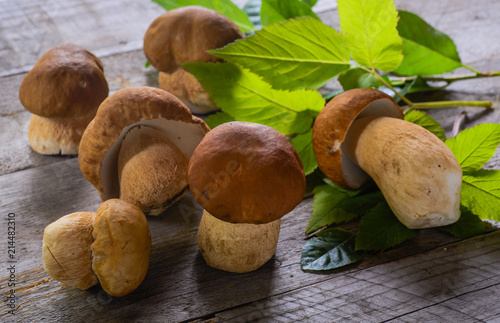 The first porcini of the season. photo