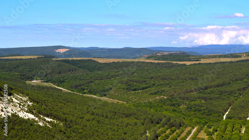 top view of vineyards in the mountains
