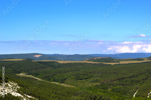 top view of vineyards in the mountains