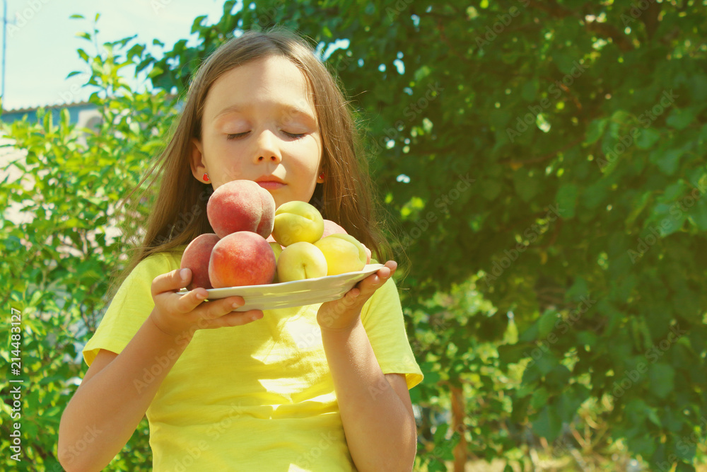 little brunette girl holding peaches and apricots in her hands, sniffing fruit little brunette girl holding peaches and apricots in her hands, sniffing fruit