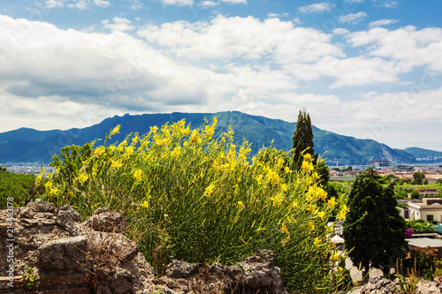 Panoramic view to the mountain photo