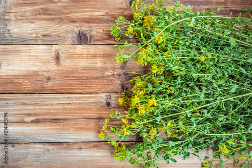 Hypericum St. John's wort, medicinal plant on wooden background. Copy space, flat lay.