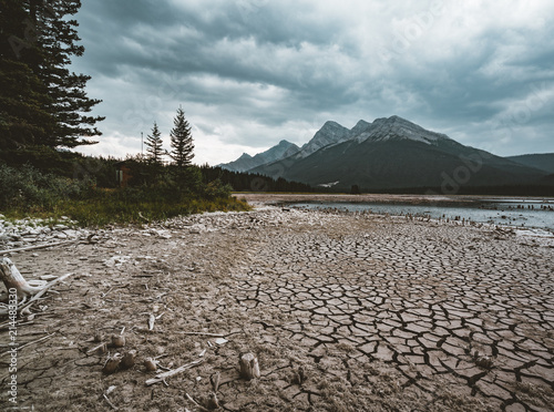 Dead tree trunks with roots and dry river lake bedwith mountain peaks in the background. Taken at Lower Kananaskis Lake, Alberta, Canada. photo