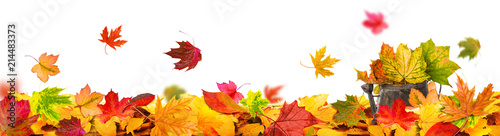 autumn leaves background tendril