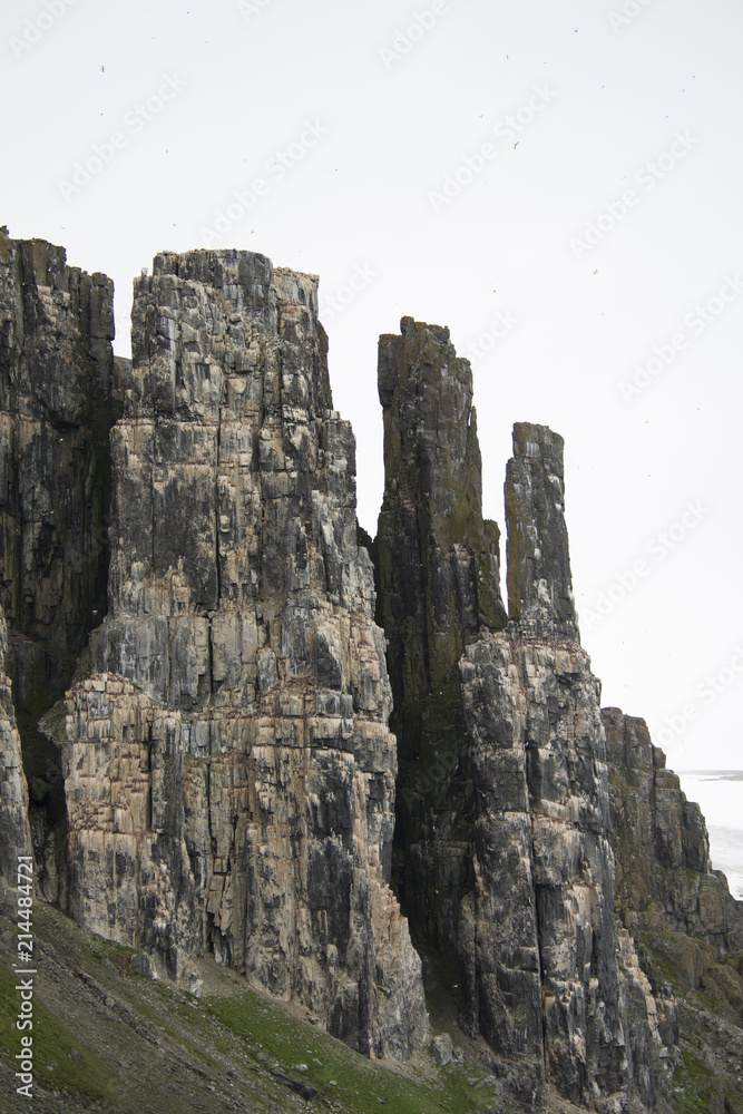 Colony of penguins climbing to the top of the mountain Arctic