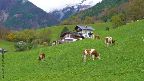 Traditional Chalet house and Alps mountains in Salzkammergut