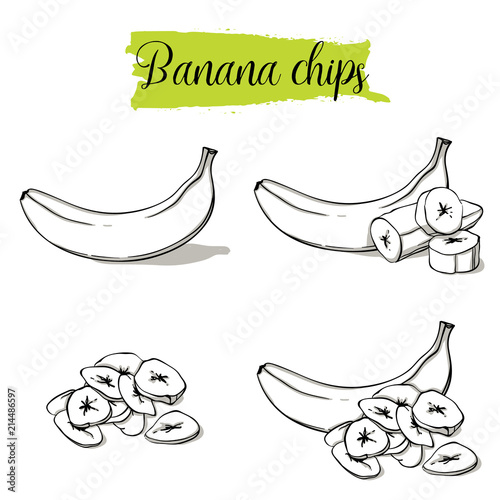 Hand drawn sketch style Banana set. Single, group fruits, banana chips, slices. Organic food, vector doodle illustrations collection isolated on white background.