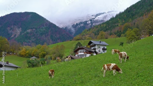 Traditional Chalet house and Alps mountains in Salzkammergut