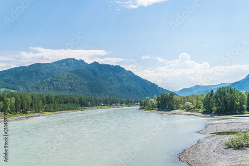 Summer mountain river in the Altai