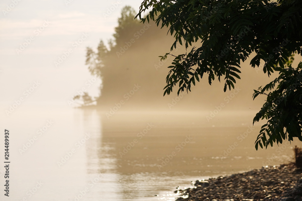 Foggy morning on the lake.
