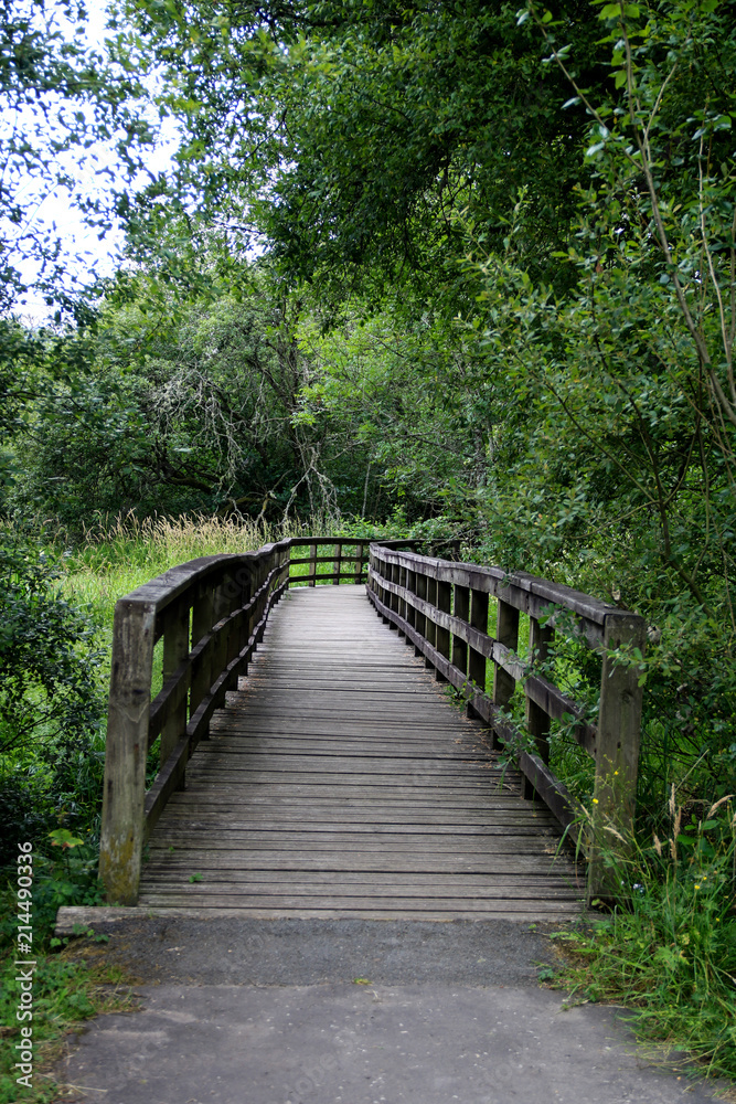 Timber Walkway Over a Small Country River