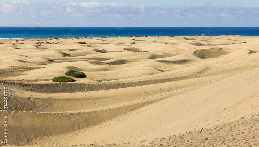 Naklejka premium Unique desert area with sea on the background in Maspalomas sand dunes, Spain. Arid landscape at popular landmark in Canary Islands. Tourist attraction, travel destination, summer holidays concepts