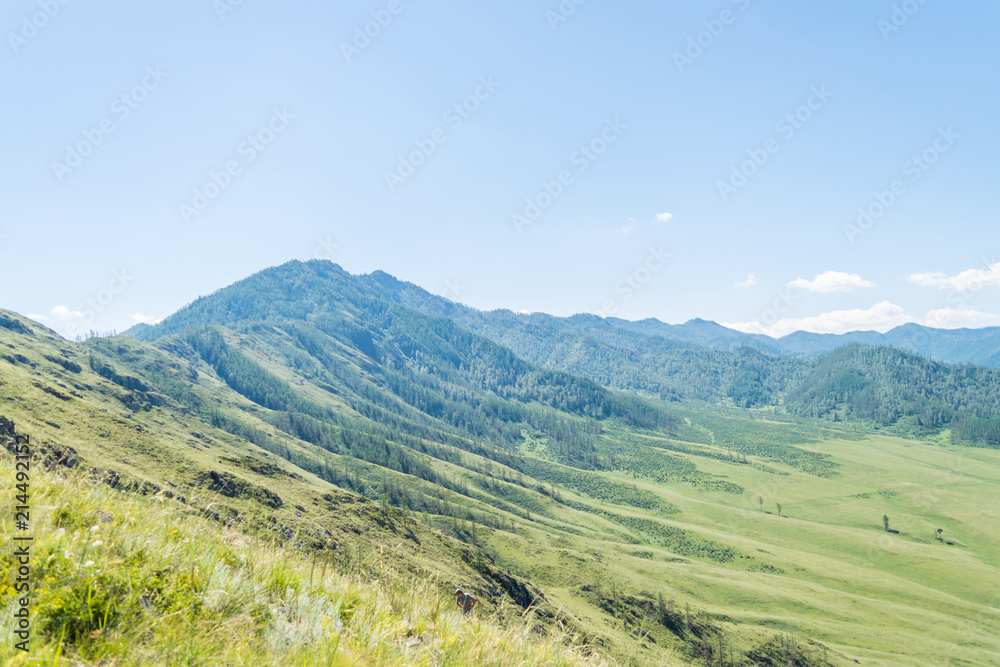 Summer altai mountains