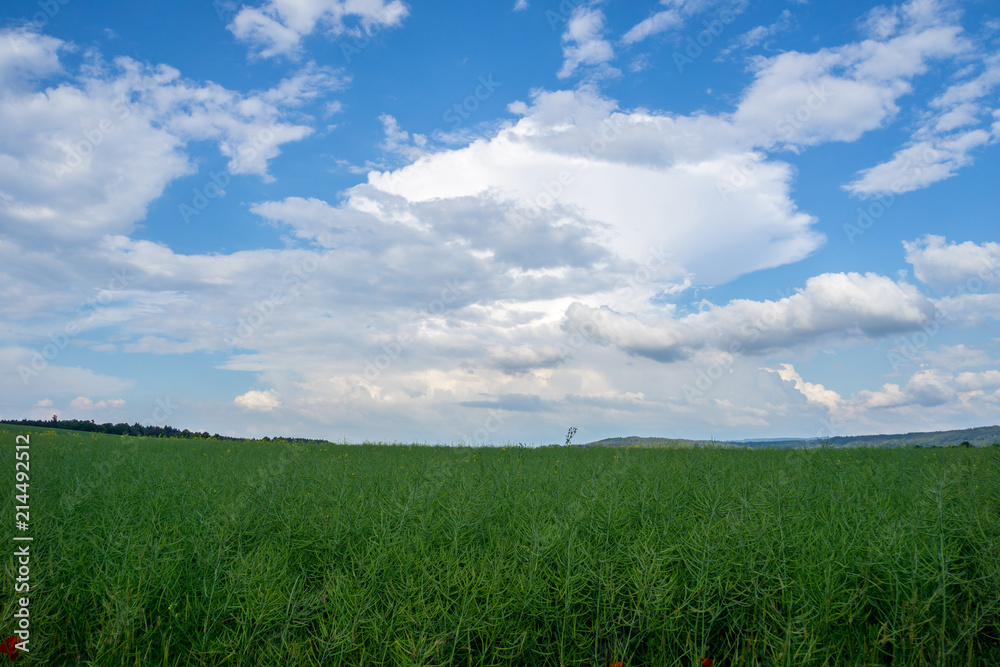 Obraz premium Dramatic thunderstorm sky over green field of rape