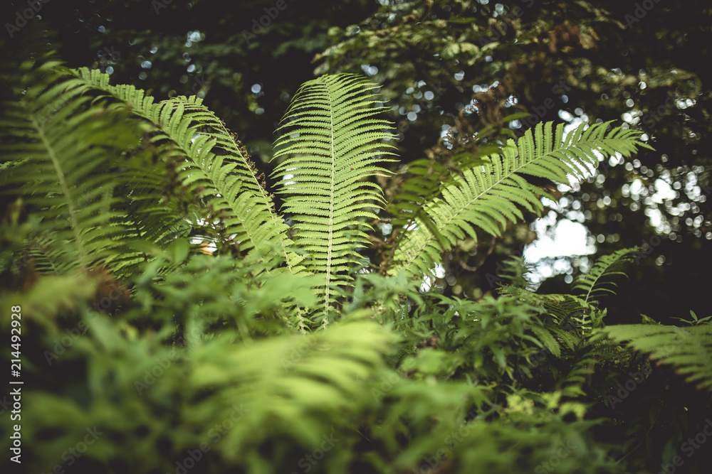 Botanischer Garten Greifswald Botanischer Garten Greifswald