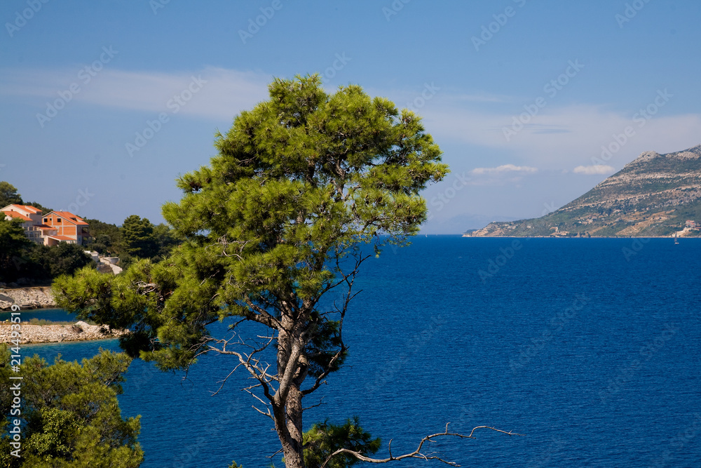 Küste der Insel Korcula in Kroatien