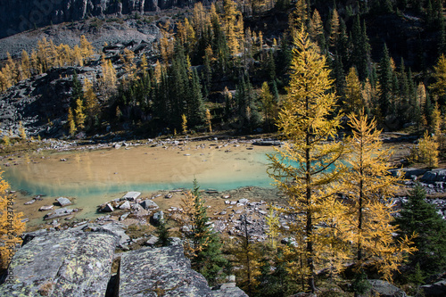 Lake O'Hara in Autumn, Yoho National Park photo