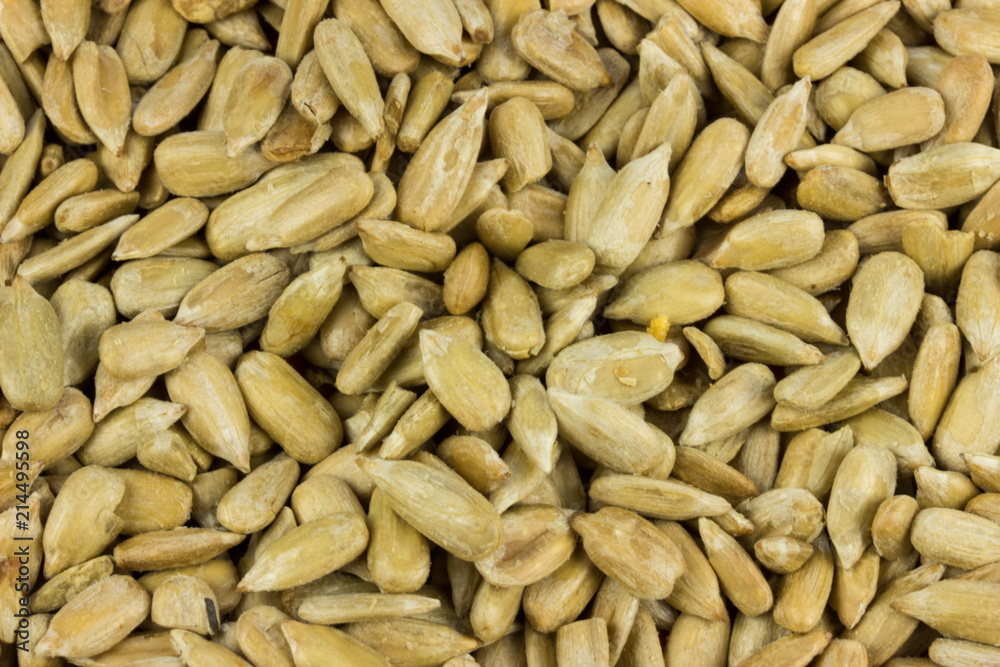 sunflower seeds Background. Salty food for beer sunflower seeds Background. Salty food for beer
