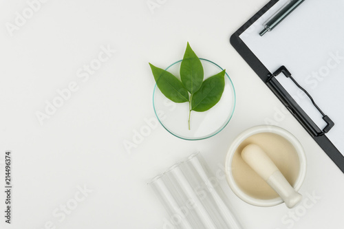 herbal medicine research concept. the organic green leaves in watch glass with a mortar and pestle, three test tubes and a clipboard with a pen on the white table in laboratory. photo