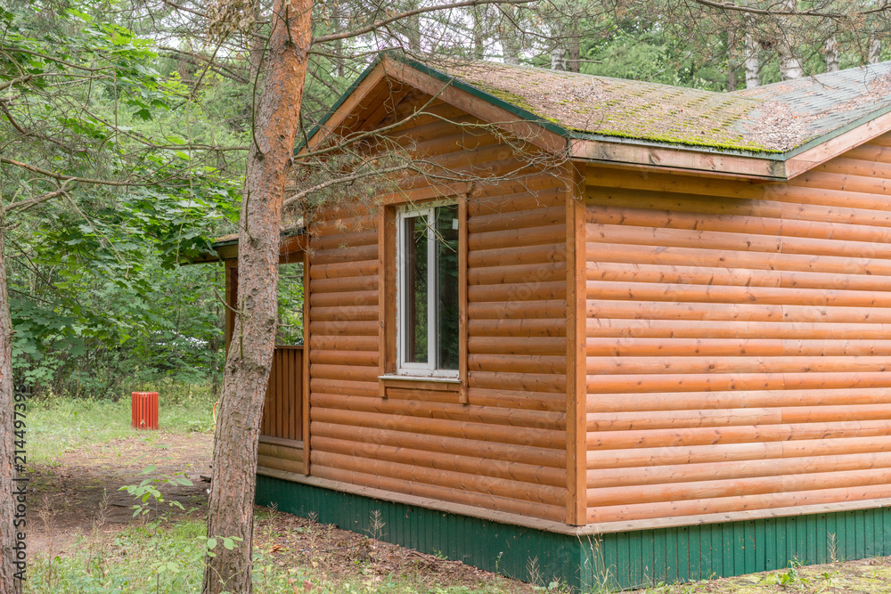 small wooden house in a pine forest