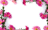 Frame of flowers pink chrysanthemum on a white background with space for text