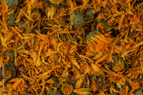 Calendula flowewr tea photo