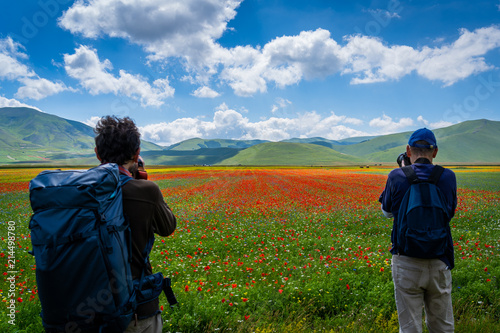 Tableau sur toile Europe, Italy, Umbria, Perugia district, Castelluccio of Norcia blooming, Monti Sibillini National Park