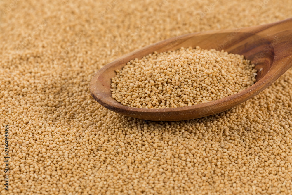 amaranth grain closeup amaranth grain closeup
