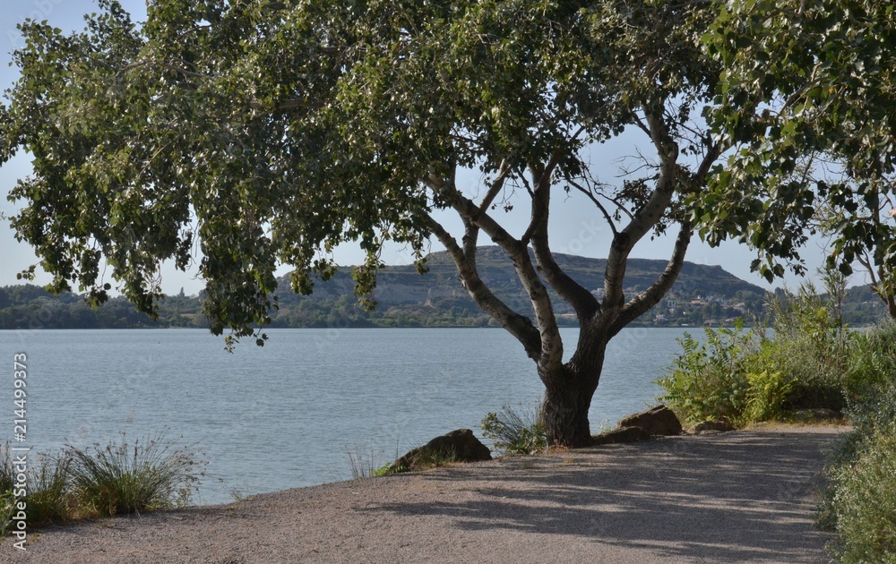 L’étang de l'Olivier, Istres, Bouches-du-Rhône, France L’étang de l'Olivier, Istres, Bouches-du-Rhône, France